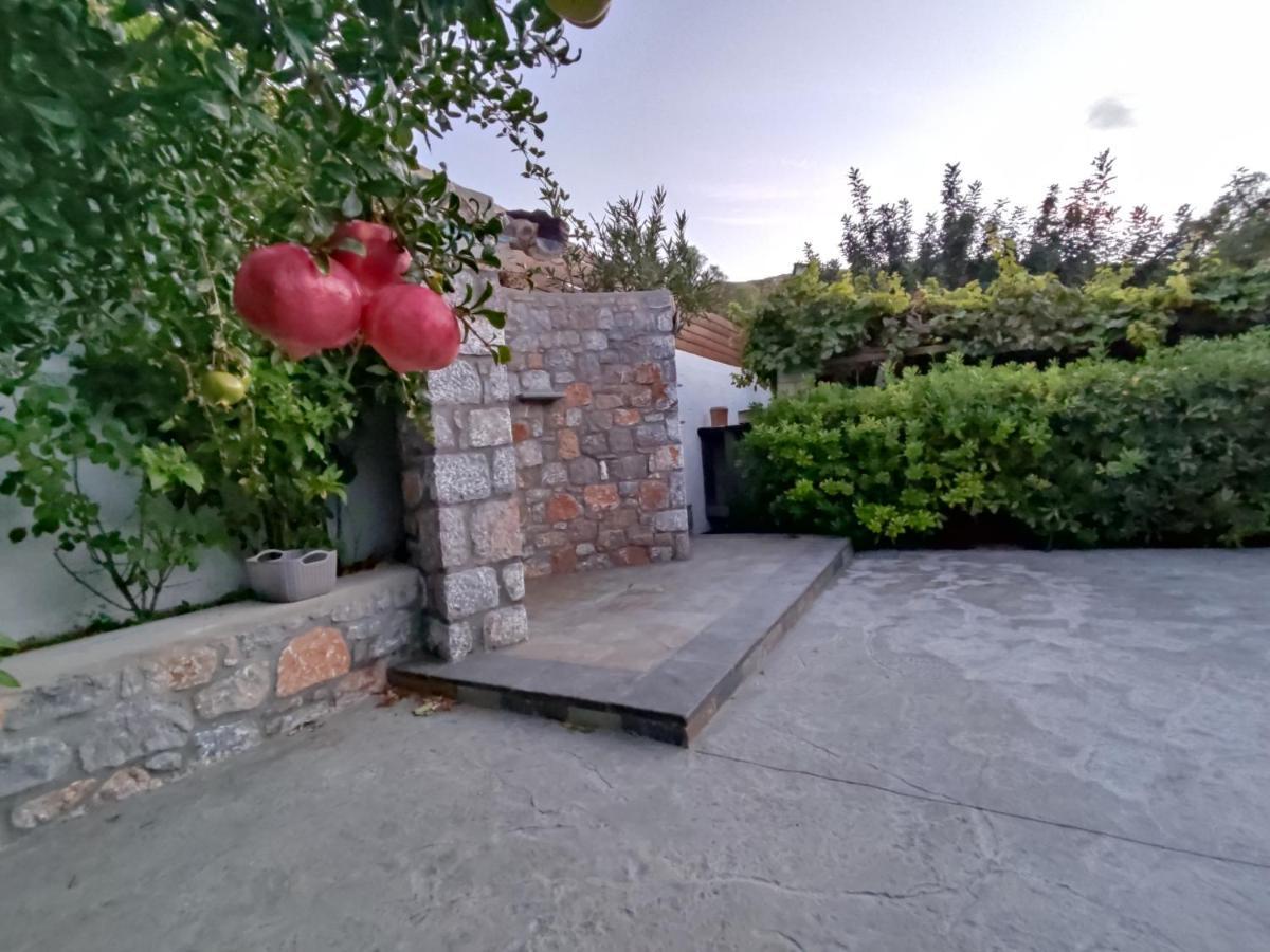 Aithonas Villa Archangelos  Bagian luar foto