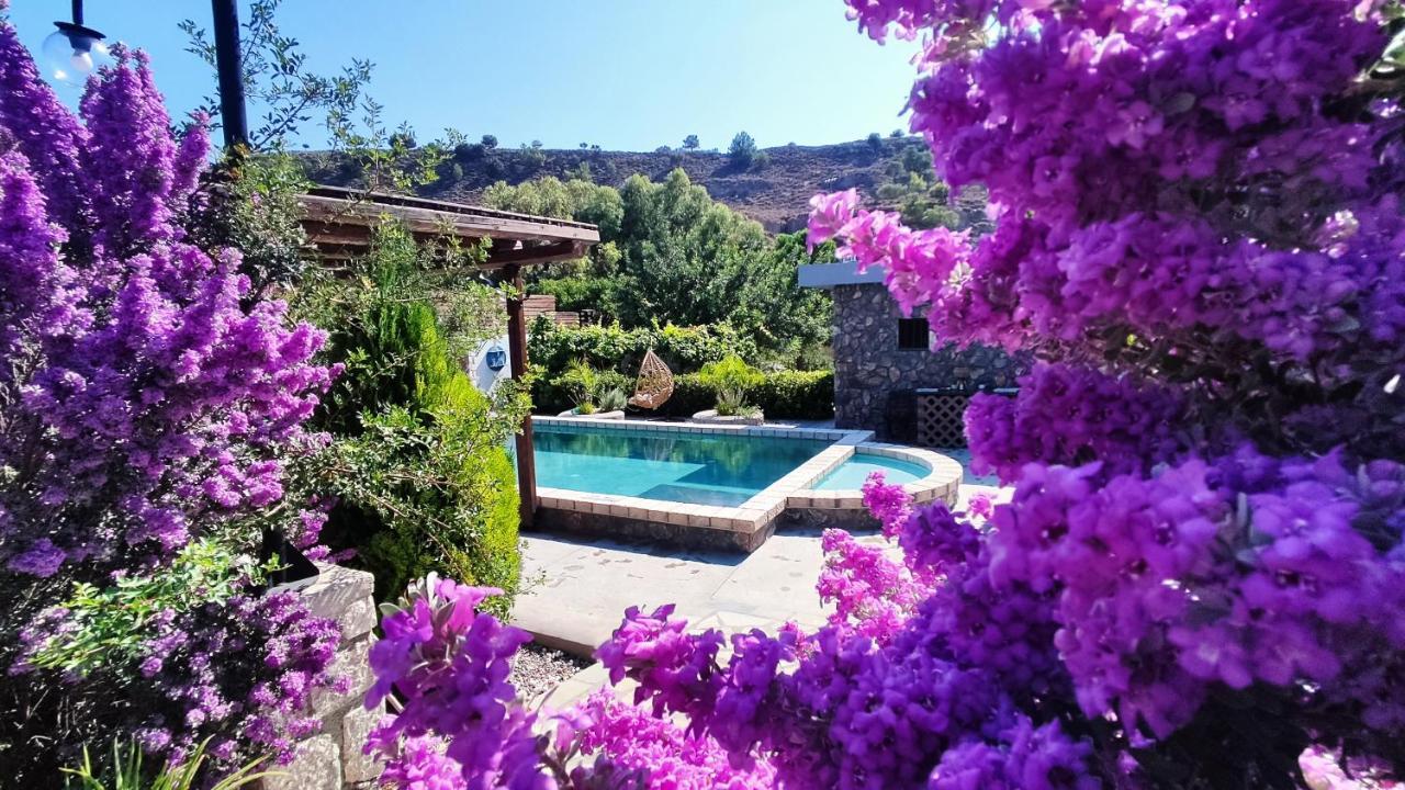 Aithonas Villa Archangelos  Bagian luar foto