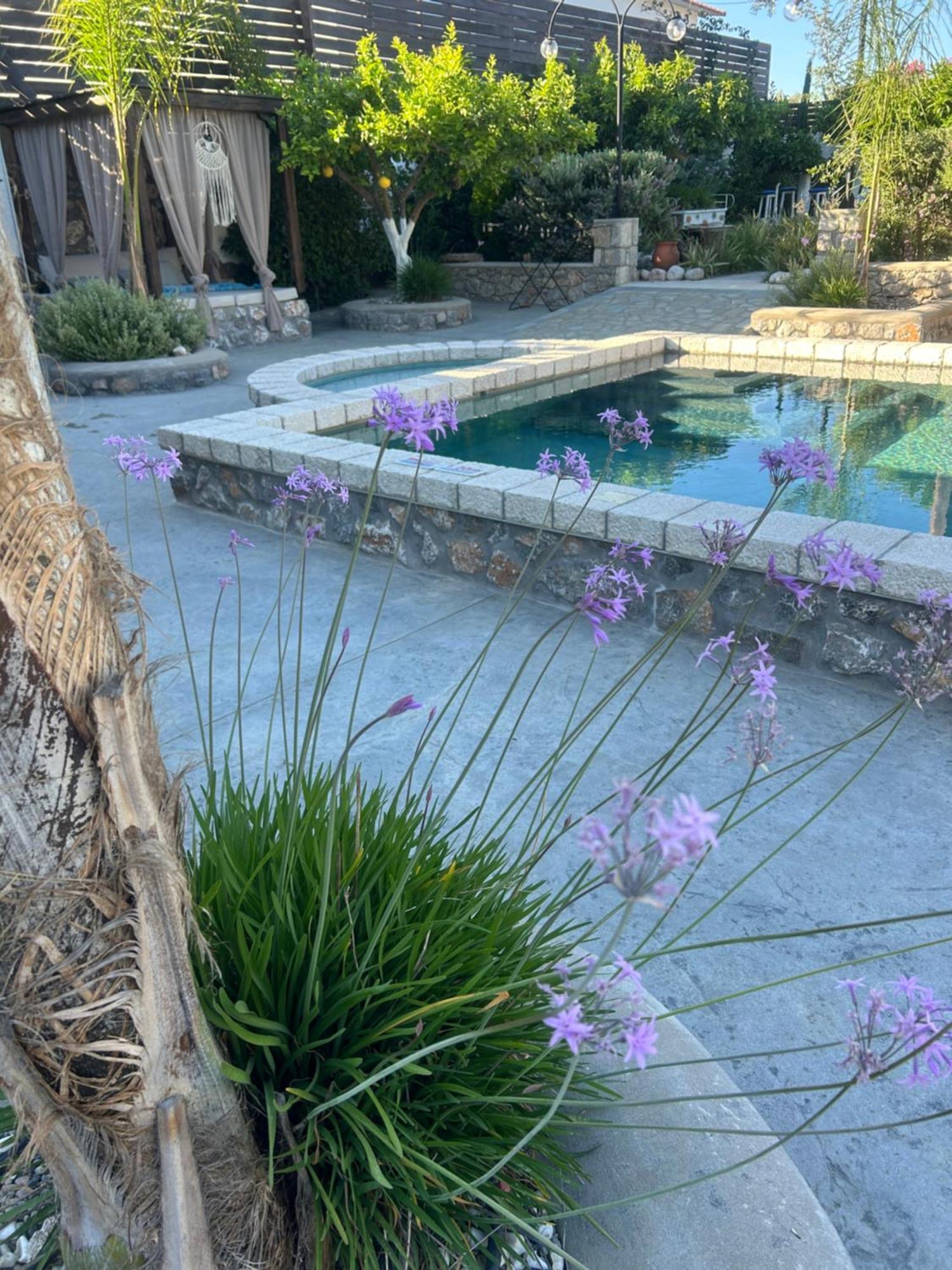 Aithonas Villa Archangelos  Bagian luar foto