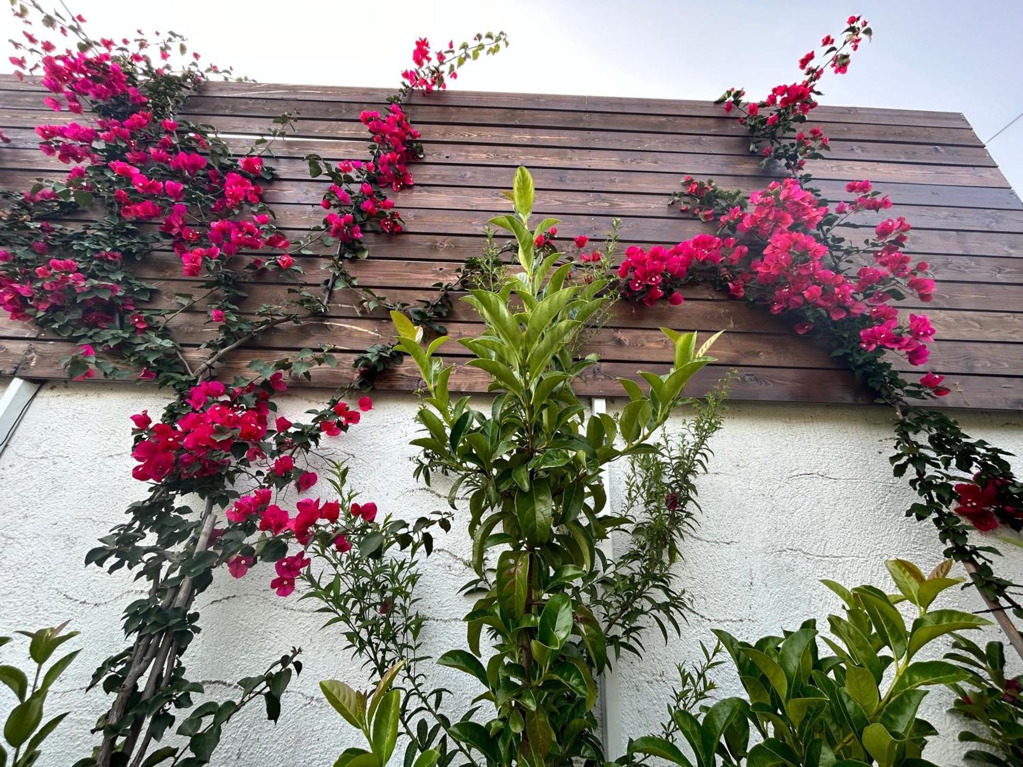 Aithonas Villa Archangelos  Ruang foto